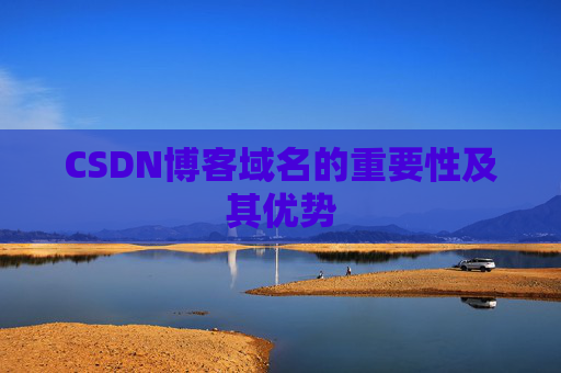 CSDN博客域名的重要性及其优势
